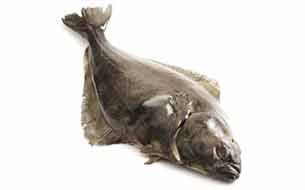 рыба палтус fish halibut италия